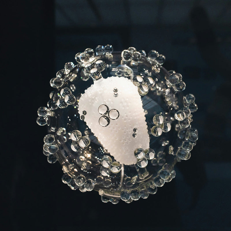 Representación de los polifenoles del aceite de oliva virgen extra como compuestos antioxidantes en el organismo